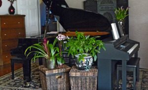 Main-Studio-Piano-300x182